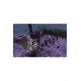 Minecraft PS5 Oyun